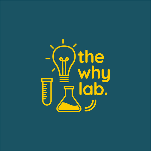 The Why Lab